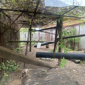 Tayra outdoors 040824