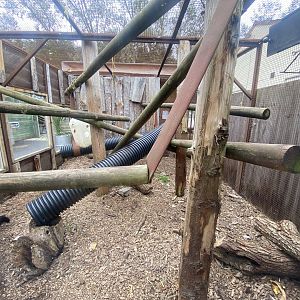 Tayra outdoors 040824