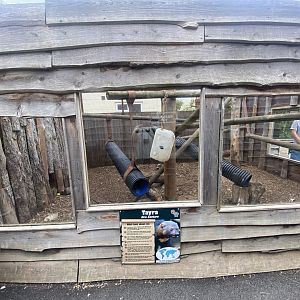 Tayra outdoors 040824