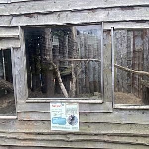 African spotted eagle-owl aviary 040824