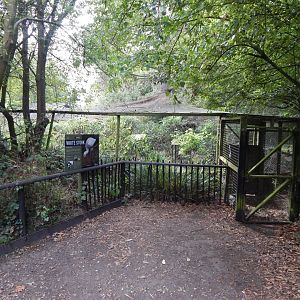 European white stork aviary 030924