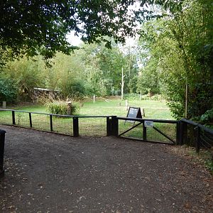 Bird of Prey Flying Display area 030924