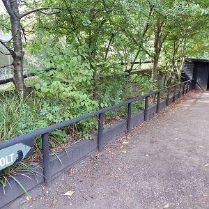 View towards Eurasian otter indoors 030924