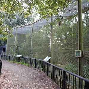 Ken West Aviary 030924