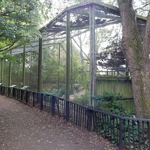 Ken West Aviary 030924