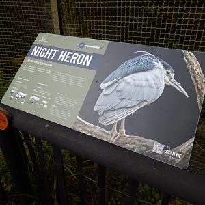 Ken West Aviary - signage example 030924