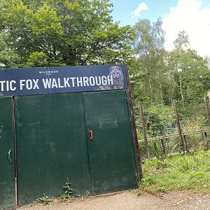 Arctic fox walkthrough 030924