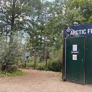 Arctic fox walkthrough 030924