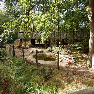 Arctic fox walkthrough 030924