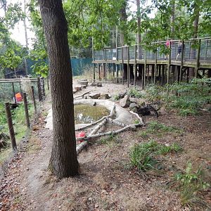 Arctic fox walkthrough 030924