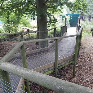 Arctic fox walkthrough 030924