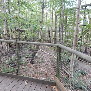 Arctic fox walkthrough 030924