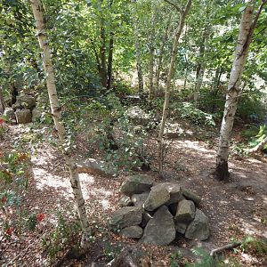 Arctic fox walkthrough 030924