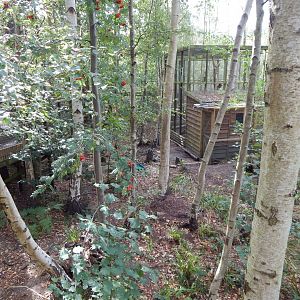 Arctic fox walkthrough 030924