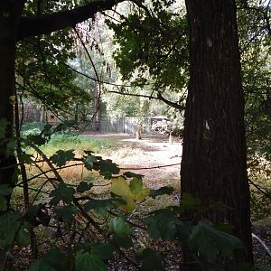 Eurasian crane habitat 030924