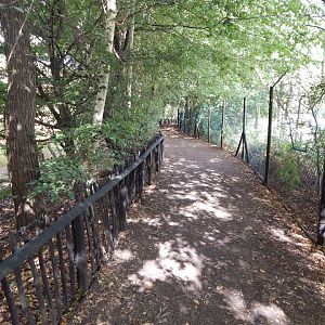 Walkway adjacent to Eurasian crane habitat 030924
