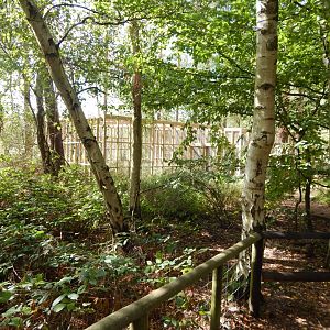 New construction 030924