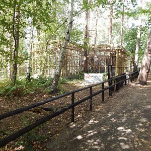 European pine marten habitat 030924