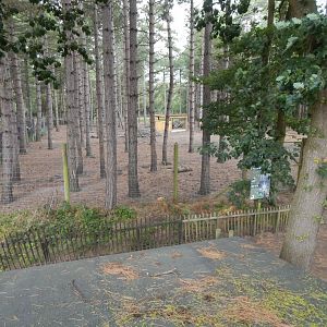 Eurasian elk habitat 030924