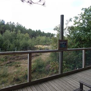 Wilder Blean Project 030924