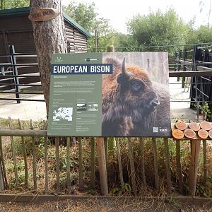 European lowland-bison signage 030924