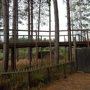Walkway next to Wilder Blean Project and Eurasian elk habitat 030924
