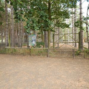 Scottish red deer and Fallow deer habitat 030924
