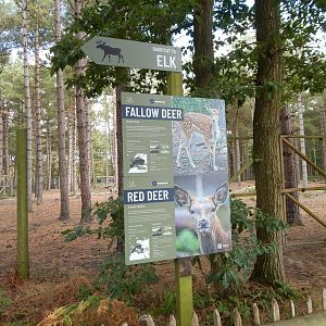 Scottish red deer and Fallow deer signage 030924
