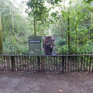 European brown bear habitat 030924