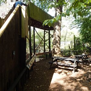 European brown bear habitat 030924