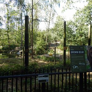 European brown bear habitat 030924