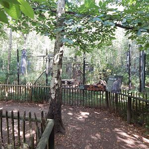 Eurasian lynx habitat 030924