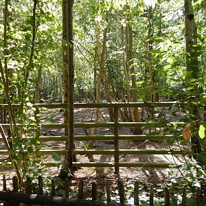 Domestic reindeer habitat 030924