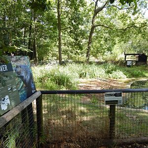 Eurasian beaver habitat 030924