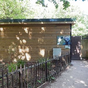 Eurasian beaver habitat 030924