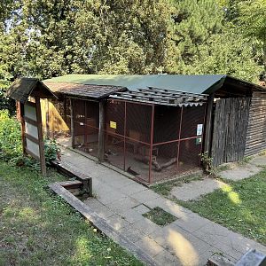 Domestic animals - Stanice přírodovědců (Prague/Praha)