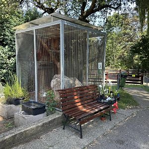 Barn owl aviary - Stanice přírodovědců (Prague/Praha)