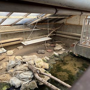 Tortoise and iguana enclosure - Stanice přírodovědců (Prague/Praha)