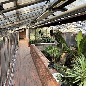 Terrarium room -  Stanice přírodovědců (Prague/Praha)