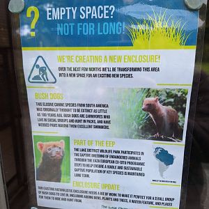 New Bush Dogs coming soon signs