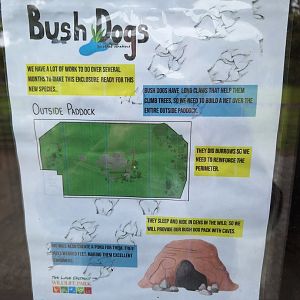 New Bush Dogs coming soon signs