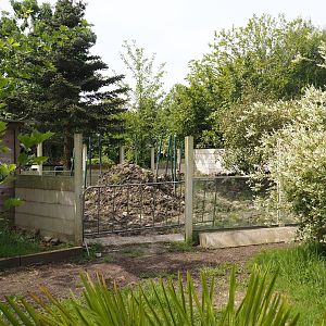 Former Asian-small clawed otter exhibit under construction, 2024-05-11