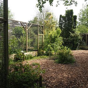 Visitor area next to Von der Decken's hornbill aviary and Siberian weasel exhibit, 2024-05-11