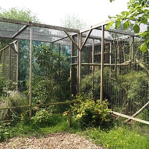 Aviaries, 2024-05-11