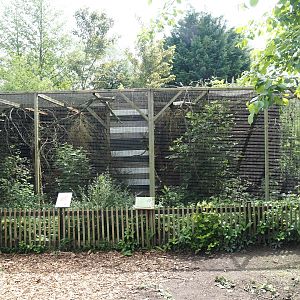 Siberian weasel exhibits,