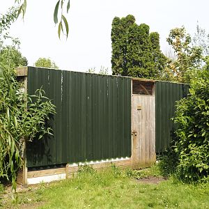 Backside of the Siberian weasel exhibits, 2024-05-11