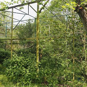 Raven aviary, 2024-05-11