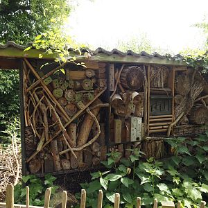 Insect hotel, 2024-05-11