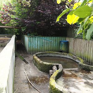 Nutria exhibit, 2024-05-11