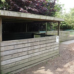 Nutria exhibit, 2024-05-11
